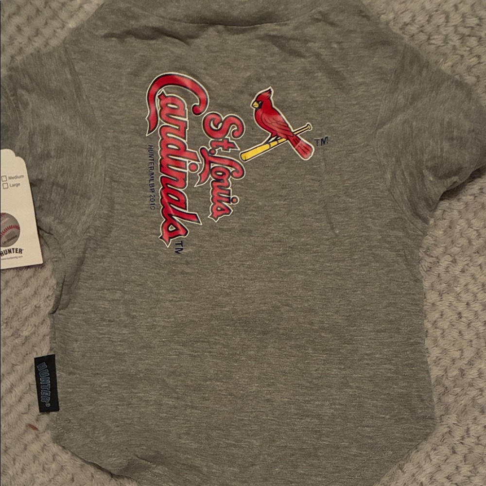 Gray St. Louis Cardinals Kids Shirt